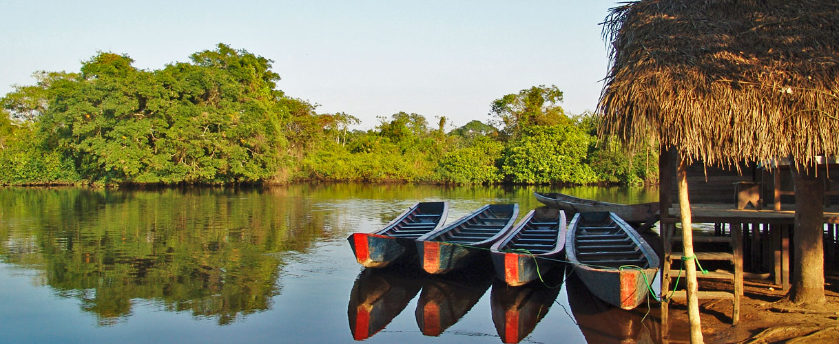 Abenteuer im Amazonas-Regenwald